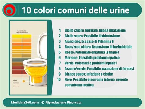 hermes può cambiare colore urine|colore urinario pippi.